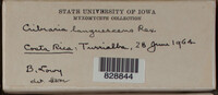 Image Associated With the Occurence